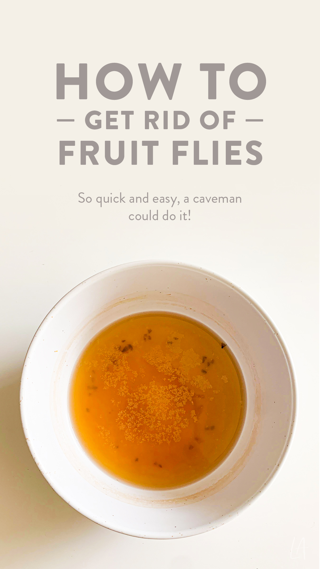 How to get rid of fruit flies