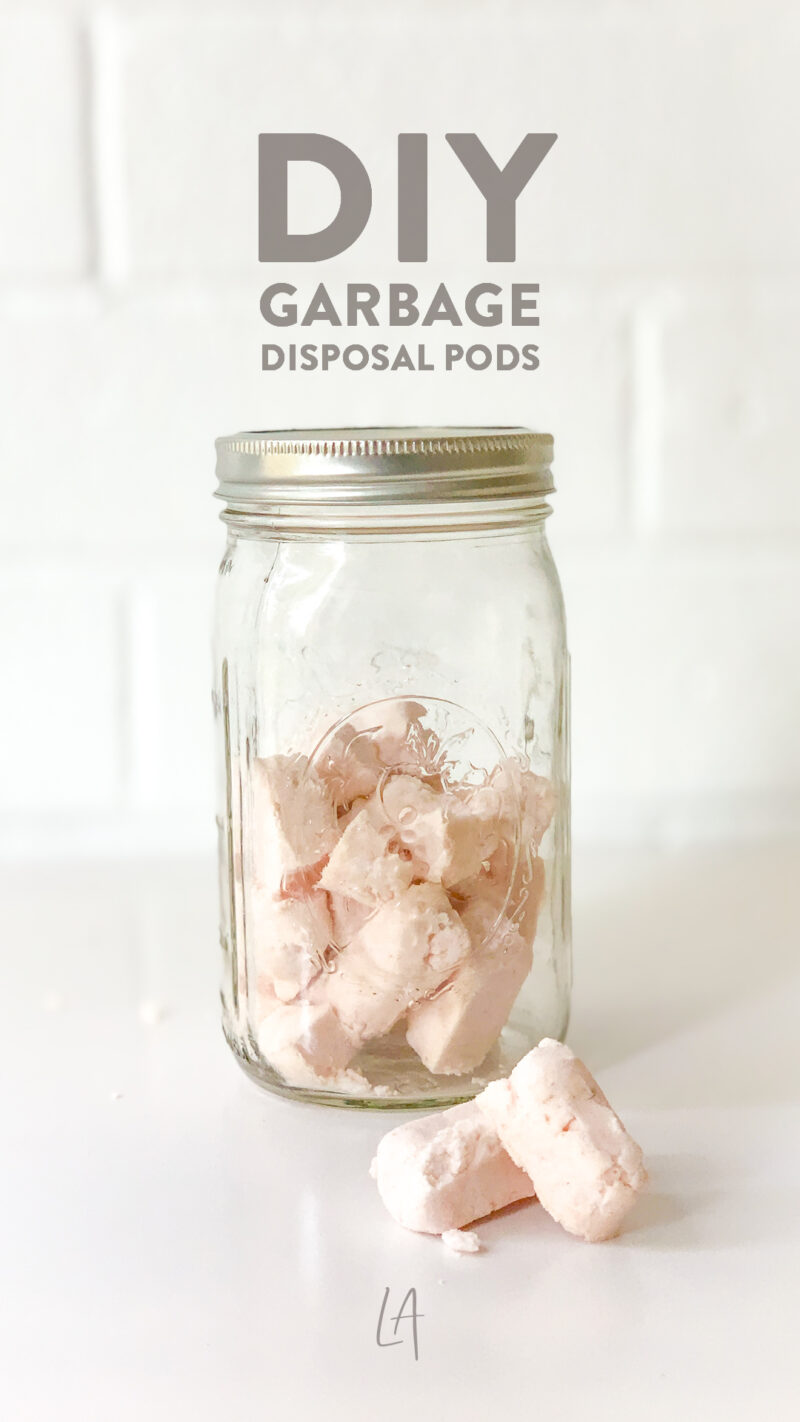 DIY Garbage disposal pods LAurenrdaniels Make some today!