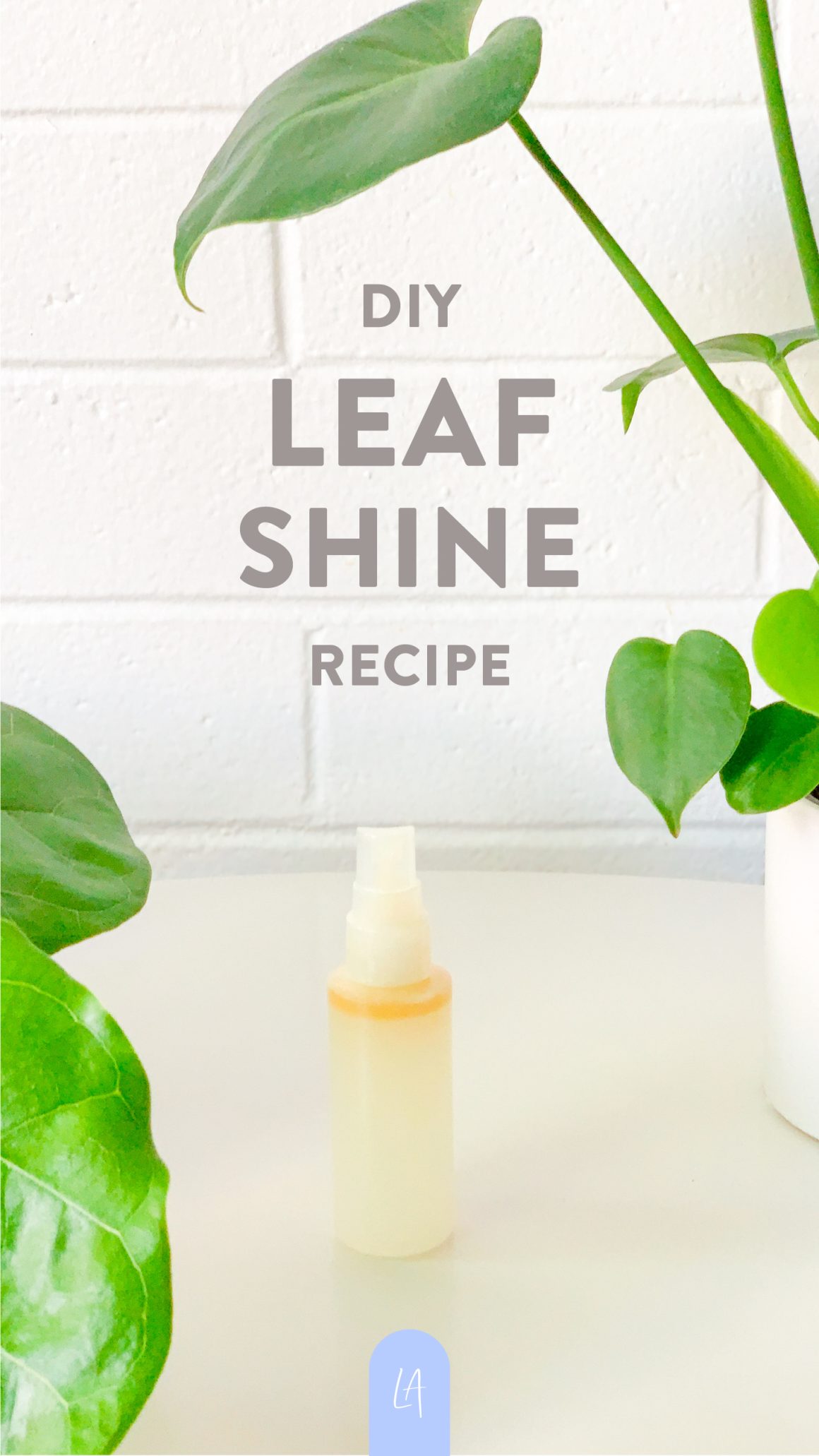 DIY Leaf shine recipe | LAurenrdaniels | Spray bottle surrounded by green plants